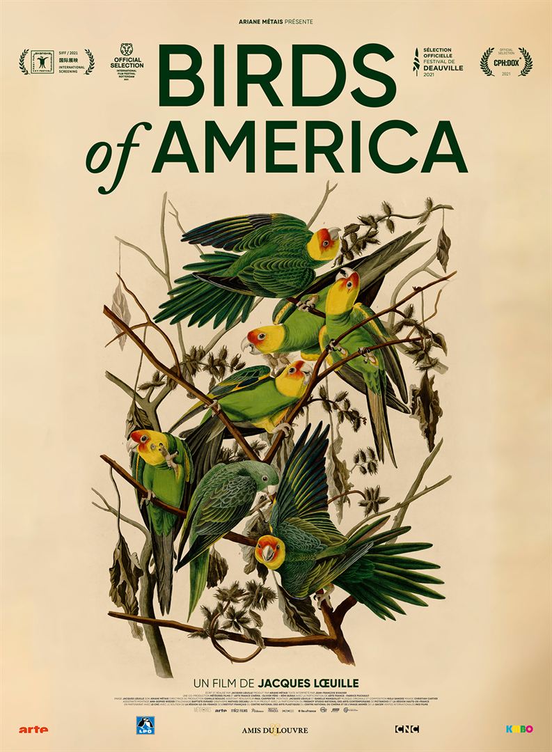 Birds Of América (2022)